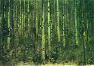 In the forest